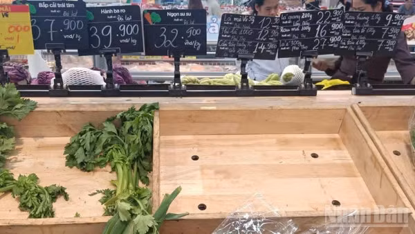 Kệ hàng bày bán các loại rau tại Trung tâm thương mại GO (phường Vũ Phúc, tỉnh Hưng Yên) luôn hết hàng từ rất sớm.