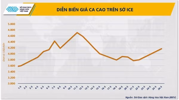Diễn biến giá ca-cao.