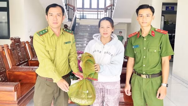 Chị Quách Thị Ánh Như, ngụ ấp Đông Sơn 1, xã Thoại Sơn bàn giao cá thể trăn đất. (Ảnh: Công an An Giang)