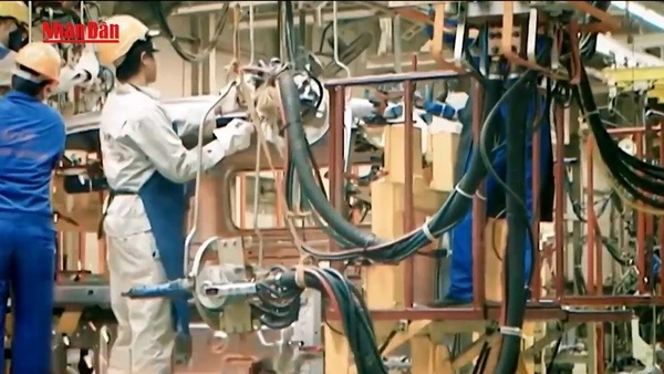 [Video] Hai luật quan trọng có hiệu lực từ ngày 1/10/2025