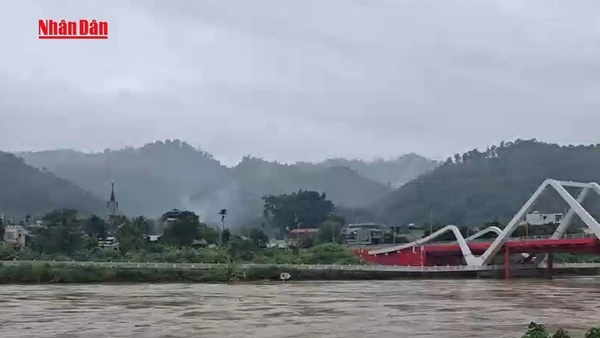 [Video] Thủ tướng chỉ đạo khẩn trương khắc phục hậu quả mưa lũ tại Cao Bằng, Tuyên Quang, Lào Cai