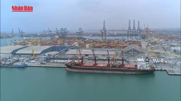 [Video] Mỹ áp thuế nhập khẩu với Hàn Quốc 15%, Ấn Độ 25%
