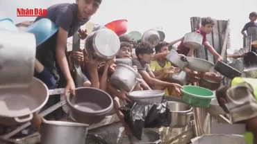 [Video] Hội Chữ thập đỏ, UNRWA quan ngại tình hình nhân đạo tại Dải Gaza 
