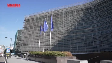 [Video] Tổng thống Mỹ Donald Trump đề xuất áp thuế tối thiểu 15-20% với hàng EU