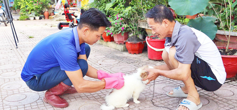 Cán bộ Trung tâm Dịch vụ nông nghiệp huyện Điện Biên Đông đến từng gia đình để tiêm vắc-xin phòng bệnh dại cho chó, mèo.