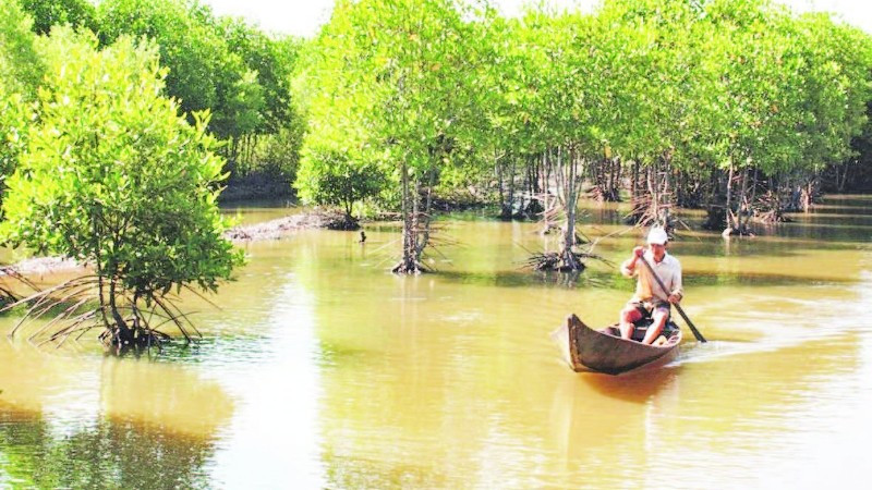 Không ít hộ nông dân ở xã Vĩnh Hậu (Cà Mau) làm giàu nhờ mô hình nuôi tôm, cua dưới tán rừng đước.
