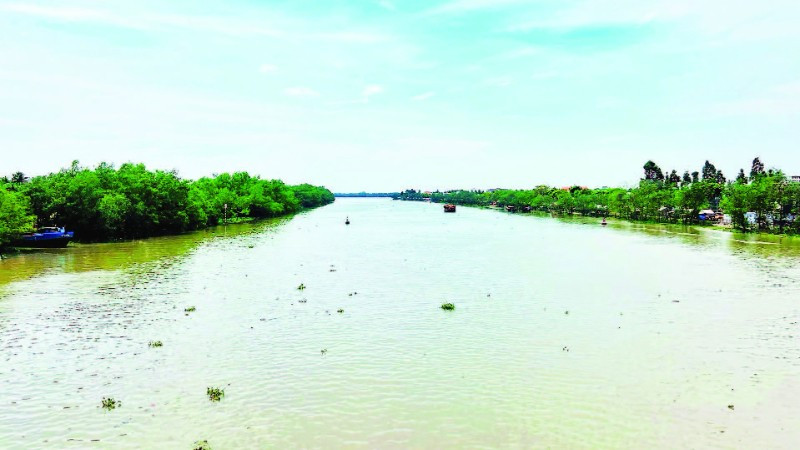 Bên các nhánh sông Cửu Long là nơi trú ngụ của loài cá ngát.