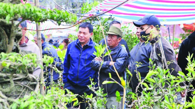 Người dân nhiều địa phương về chợ Viềng mua bán cây cảnh dịp đầu năm.