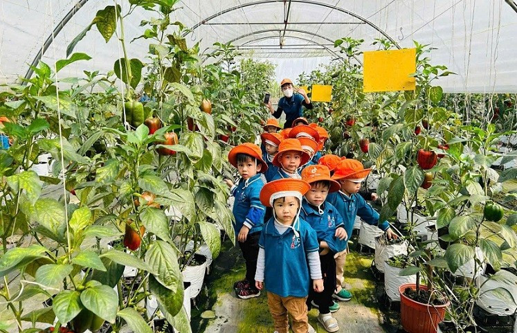 Cháu học làm nông dân. z7153854731581-ad5d8c12f96ebbce448085c3ecac1619.jpg