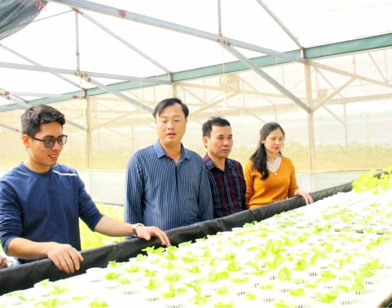 Toàn bộ cây được trồng trên giá thể xơ dừa, kết hợp hệ thống tưới và bón phân tự động theo công nghệ Israel cho năng suất và chất lượng cao. z7153854763914-70be5c6ded09d9801a183d8f6662fa62.jpg
