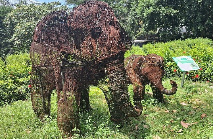 Mô hình hai mẹ con voi "đặc biệt" được làm từ hàng nghìn bẫy và dây bẫy được tháo gỡ, tịch thu trong rừng ở Vườn quốc gia Pù Mát. 20250708-105016.jpg