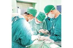 Ca chỉnh hình hàm mặt thành công cho bệnh nhân N.G.B. tại Bệnh viện đa khoa Vũng Tàu với sự hỗ trợ của Bệnh viện Răng Hàm Mặt Thành phố Hồ Chí Minh.