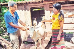 Chị Hồ Thị Dắt thường xuyên đến từng nhà dân, động viên bà con vượt khó vươn lên.