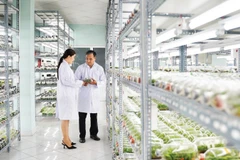 Phòng nuôi cấy mô cây giống, Khu Nông nghiệp công nghệ cao Thành phố Hồ Chí Minh.