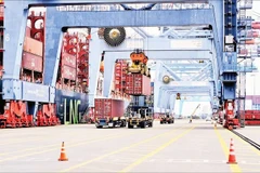 Bốc dỡ hàng tại cụm cảng Cái Mép-Thị Vải. (Ảnh VÕ LÊ)