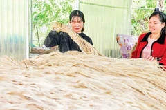 Một số sản phẩm từ sợi chuối đã được xuất khẩu sang thị trường nước ngoài, góp phần tạo đầu ra ổn định.