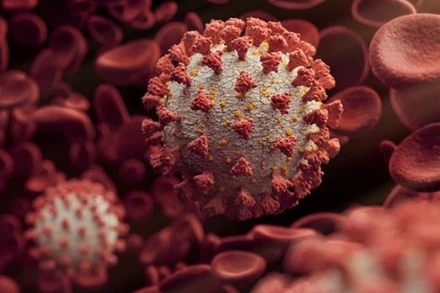 Hình ảnh virus SARS-CoV-2.