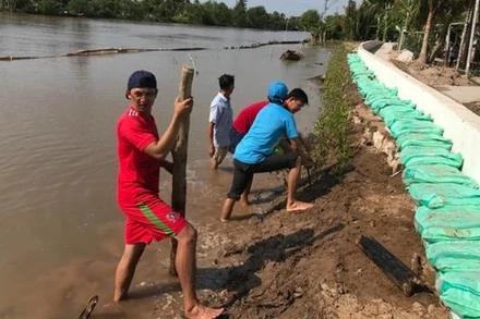 Làm kè sinh thái ở huyện Châu Thành.
