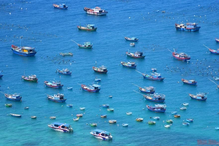 Xanh như Cù Lao Xanh