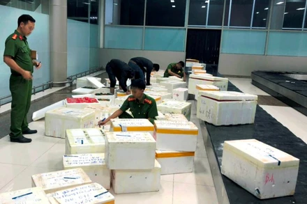 Kiểm tra các thùng chứa dâu tây nhập lậu qua Cảng hàng không Liên Khương.