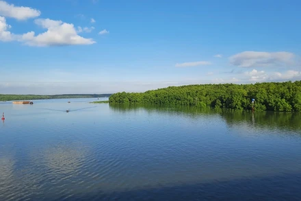 Một góc Khu dự trữ sinh quyển rừng ngập mặn Cần Giờ.