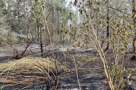 Hiện trường vụ cháy.