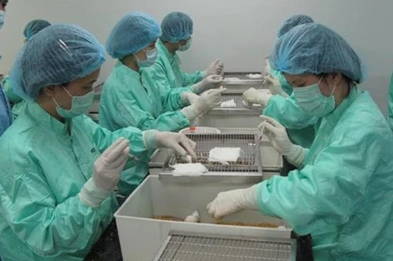 Đầu năm 2021, vaccine ngừa Covid-19 có thể thử nghiệm trên người