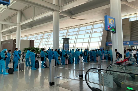 310 công dân Việt Nam từ Hàn Quốc đã về nước an toàn (Ảnh: MOFA)