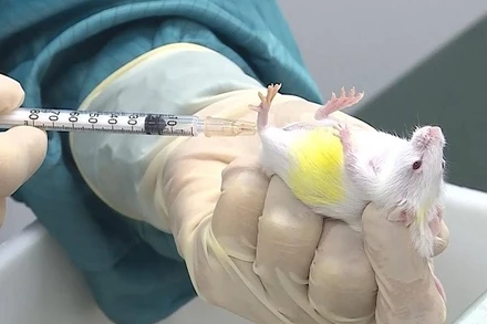 Vaccine Covid-19 thử nghiệm trên chuột của Vabiotech đã có đáp ứng miễn dịch.