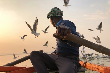 Ngỡ ngàng những bức ảnh chụp từ điện thoại di động