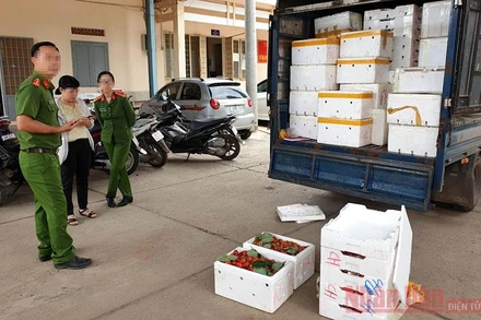 Lô dâu tây bị bắt giữ.