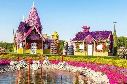 Khu vườn kỳ diệu Dubai là khu vườn hoa tự nhiên lớn nhất thế giới (Ảnh: INSIDER)