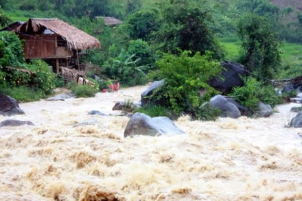 Tình hình mưa bão năm nay sẽ tương đối phức tạp.