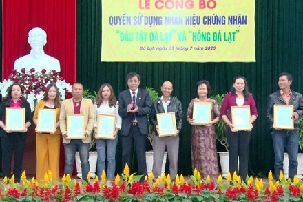 UBND TP Đà Lạt trao quyền sử dụng nhãn hiệu “Dâu tây Đà Lạt” và “Hồng Đà Lạt” cho các tổ chức, cá nhân.
