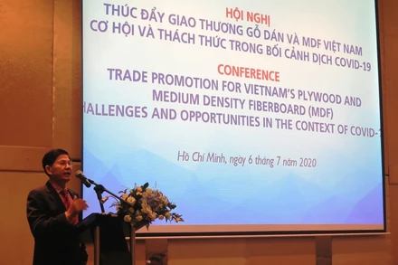 Chủ tịch Vifores Đỗ Xuân Lập trình bày ý kiến tại hội thảo.