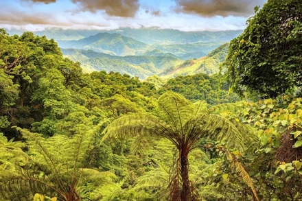 Một góc Khu dự trữ thiên nhiên Động Châu - Khe Nước Trong. 