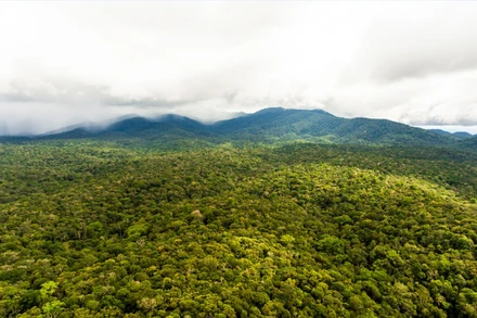 Khu bảo tồn thiên nhiên Nâm Nung trong Công viên địa chất Đắk Nông (Ảnh: DAKNONGGEOPARK)