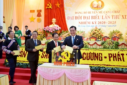 Bỏ phiếu bầu trực tiếp Bí thư Huyện ủy tại Đại hội 