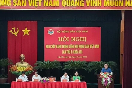 Các đại biểu tham dự Hội nghị.