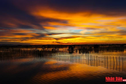 Hoàng hôn buông xuống có lẽ là cảnh đẹp ngoạn mục nhất trên phá Tam Giang đã đi vào thơ, nhạc và rất nhiều bức ảnh phong cảnh.