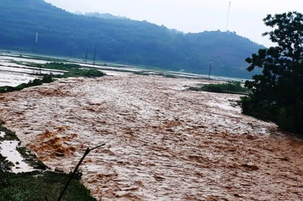 Lũ gây ngập úng, thiệt hại nhiều hoa màu, tài sản của người dân ở Lào Cai.