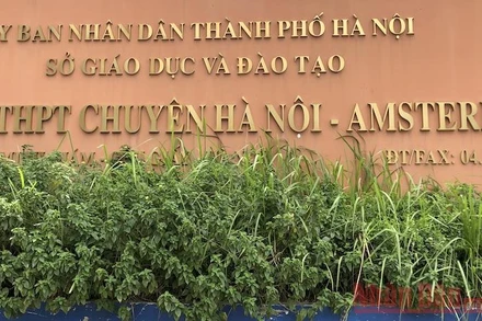 Trường Hà Nội-Amsterdam tuyển 180 chỉ tiêu vào lớp 6