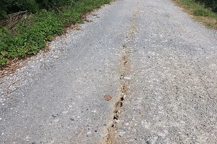 Hình ảnh nứt mặt đê tả Đáy đoạn qua hai xã Thanh Nghị, Thanh Hải, huyện Thanh Liêm (Hà Nam).