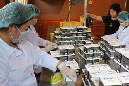 Sản xuất sản phẩm tinh bột nghệ Vi-cumax Nano của Công ty TNHH nhà máy Curcumin Bắc Hà (TP Bắc Kạn, tỉnh Bắc Kạn ).