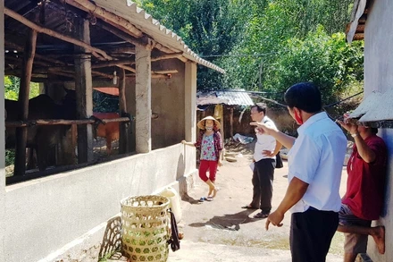 Cán bộ Thú y Phú Yên xuống tận thôn, buôn kiểm tra, hướng dẫn bà con điều trị cho bò bệnh và phòng, chống dịch.