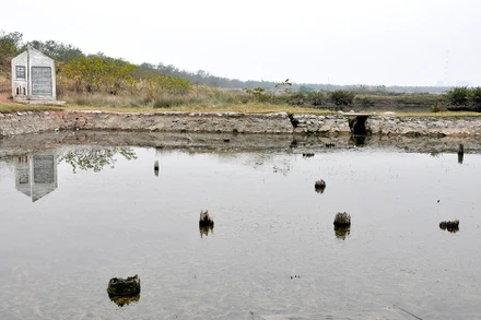 Di tích bãi cọc Yên Giang. Ảnh: Báo Quảng Ninh.