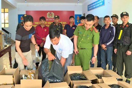 Ngoài số cần tươi, lực lượng Công an còn phát hiện 80kg cần sa khô được các đối tượng đóng trong thùng chuẩn bị đưa đi tiêu thụ.