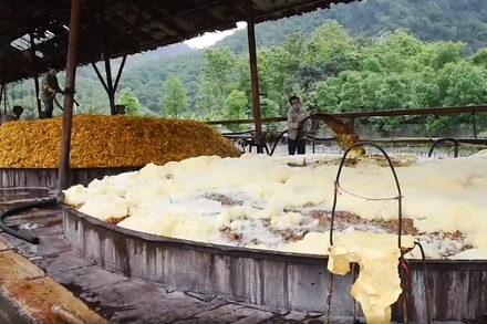 Bể âm ủ nguyên liệu giấy.