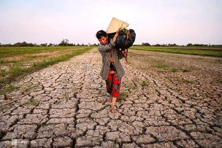 Ứng dụng công nghệ 4.0 vào dự báo hạn mặn tại ĐBSCL, giúp người dân giảm thiểu rủi do hạn mặn (Ảnh minh họa: Vnexpress).