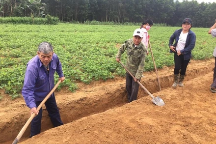 Lao động đổi công tại thôn Cao Cảnh, xã Cao Quảng, huyện Tuyên Hóa, Quảng Bình.